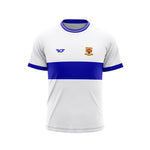 County Retro Jersey: Laois