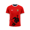 Cork Legends Jersey: Christy Ring