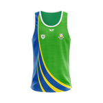 Delany's/Dillons GAA: Singlet