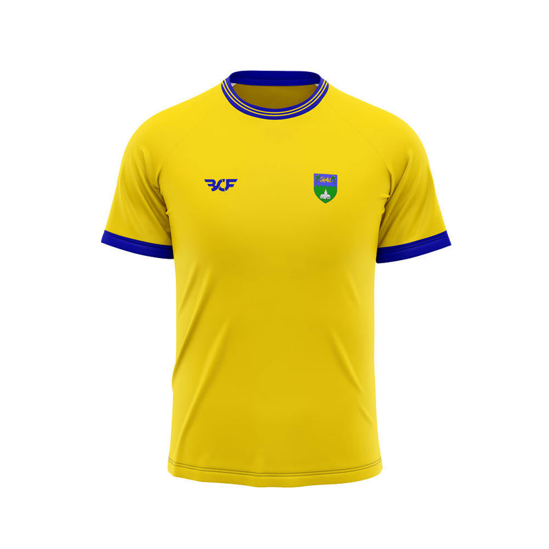 County Retro Jersey: Wicklow