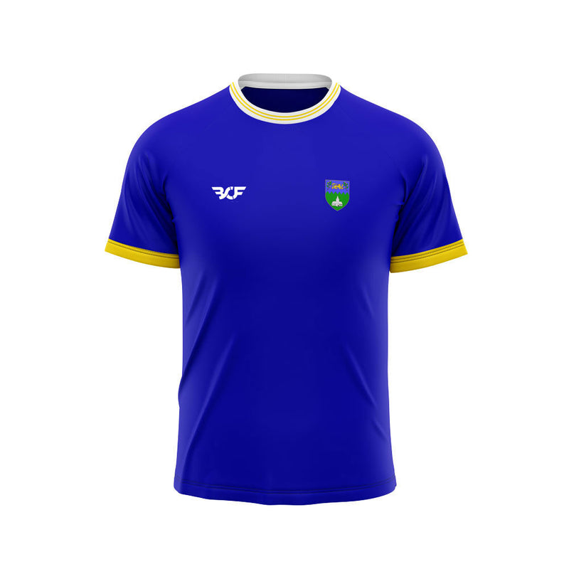 County Retro Jersey: Wicklow